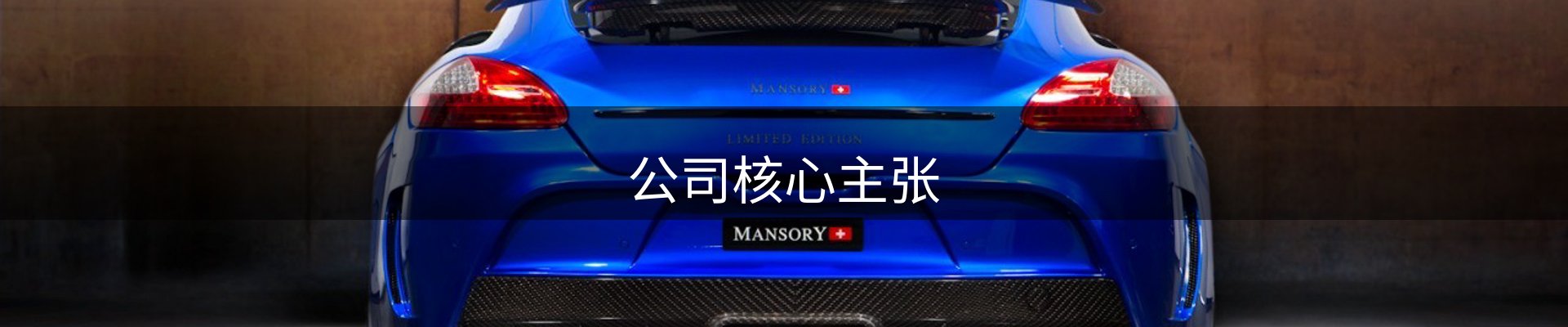 公司核心主张